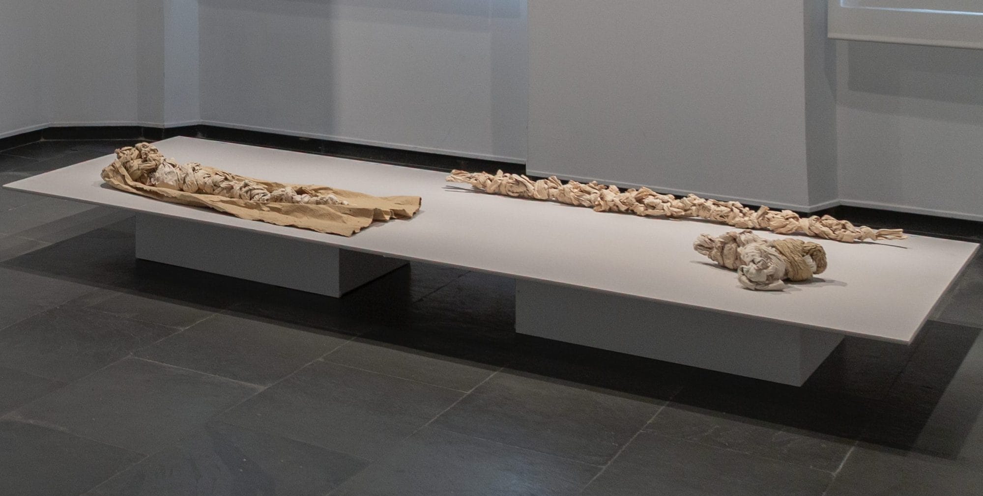 PAULA GARCÍA-MASEDO El lugar de las fuerzas, 2024 Lino y plantas Diferentes medidas