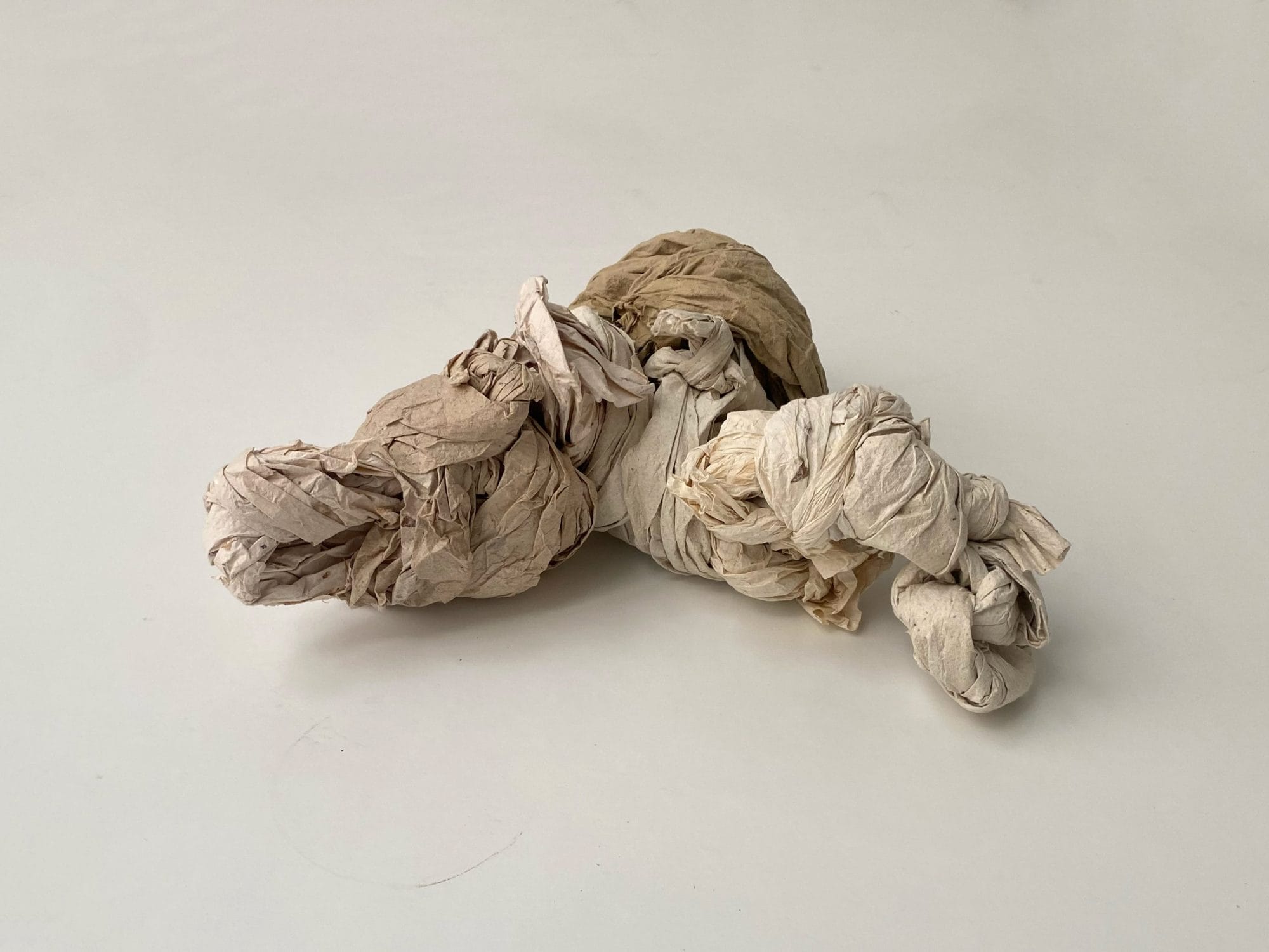 PAULA GARCÍA-MASEDO Vértebra, horcajo, 2024 Lino y plantas 10 x 25 x 30 cm Foto Paula García-Masedo